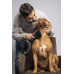 TUBO | FAST PET CARE - usisivač za kućne ljubimce